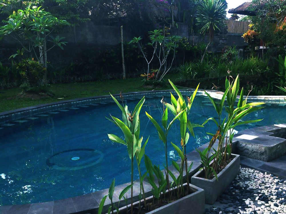 Oyo 1946 Terrace Campuhan Ubud  Ngoại thất bức ảnh