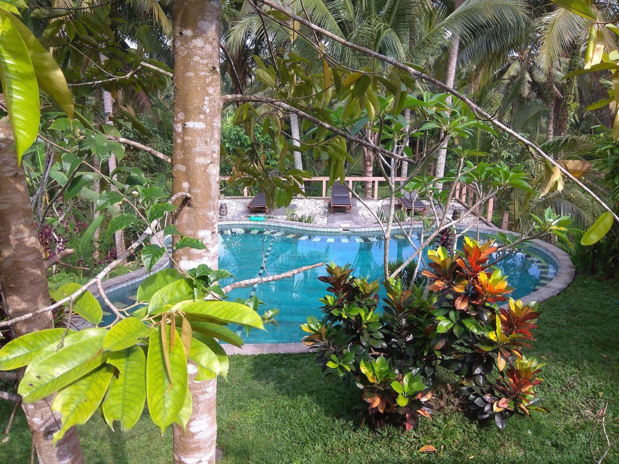 Oyo 1946 Terrace Campuhan Ubud  Ngoại thất bức ảnh