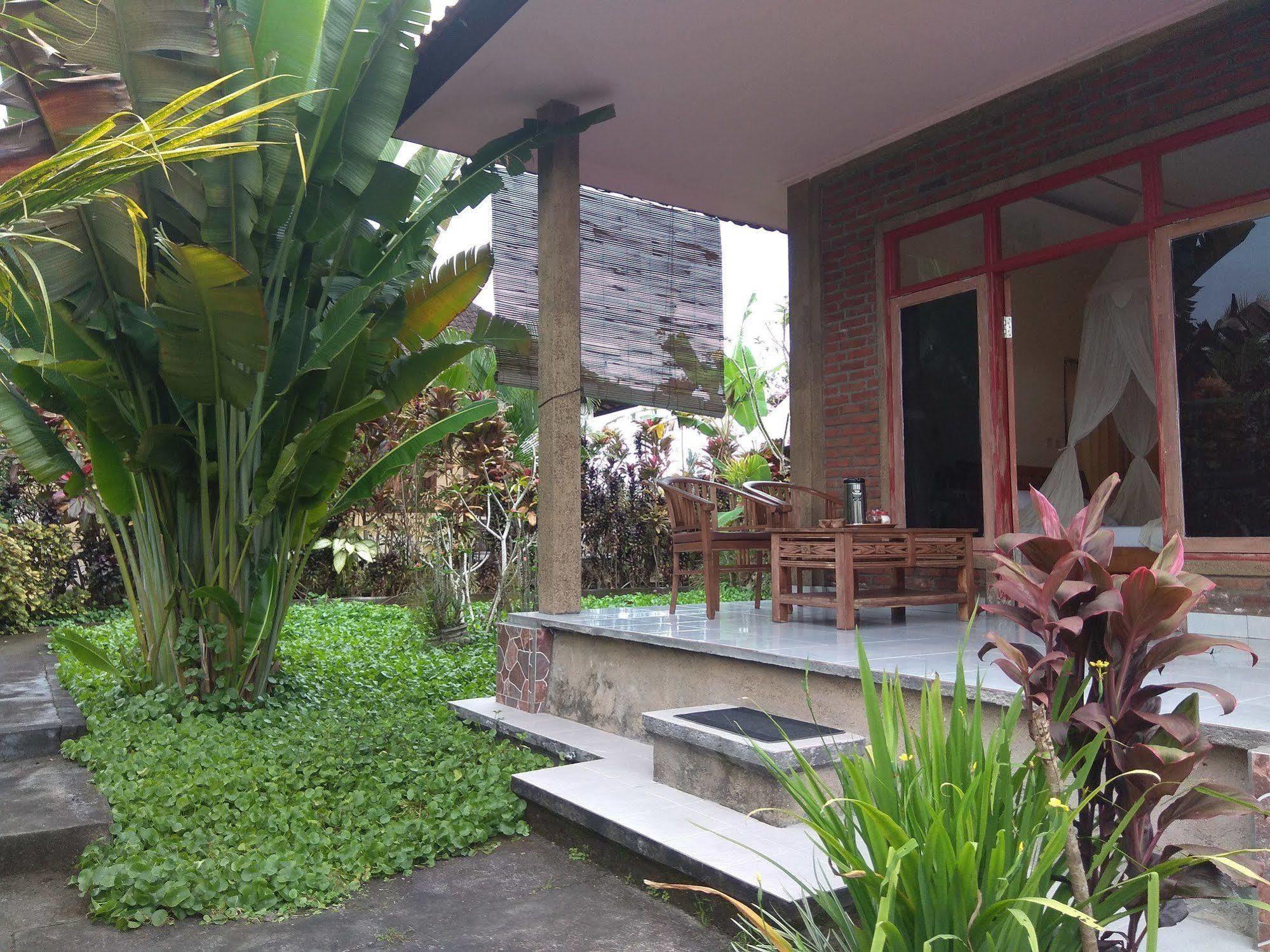 Oyo 1946 Terrace Campuhan Ubud  Ngoại thất bức ảnh